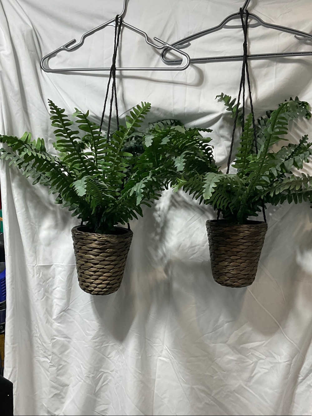 Two Hanging Woven Basket with Green Faux Fern -